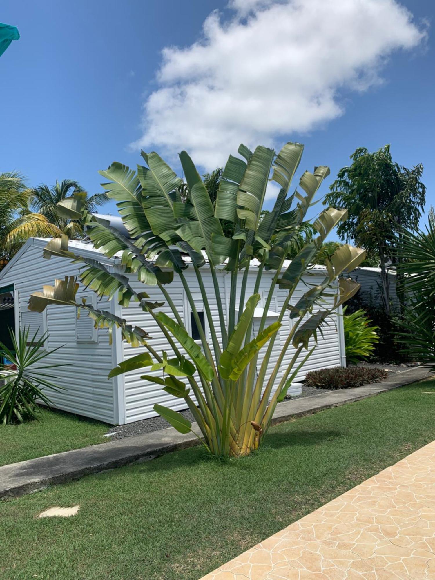 Gite Ty Koko Saint-Francois  Exterior foto